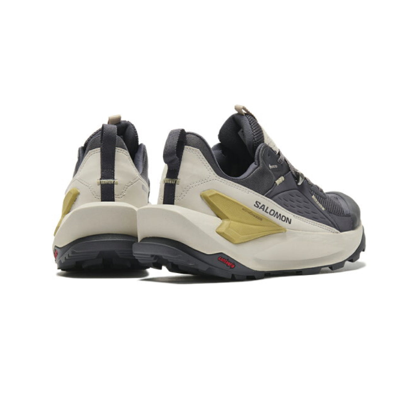SALOMON ELIXIR GORE-TEX