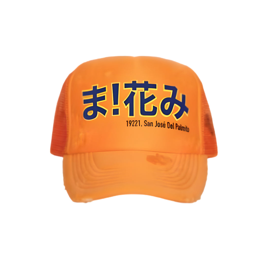 TRUCKER HAT SAN JOSE DEL  PALMITO
