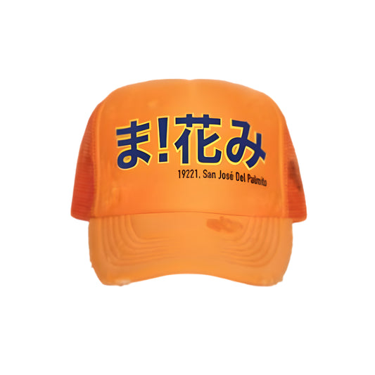 TRUCKER HAT SAN JOSE DEL  PALMITO